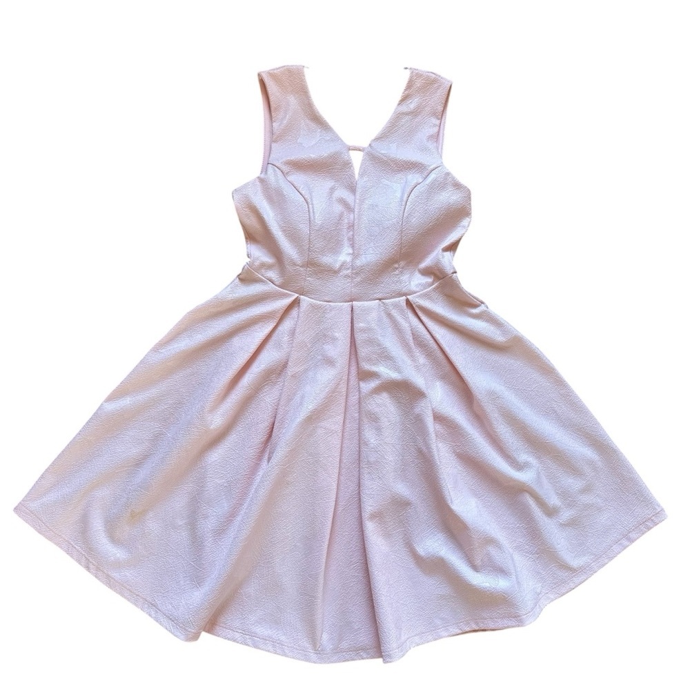 Papaya Light Pink Fit & Flare Dress Size S Blush Valentine Date Night